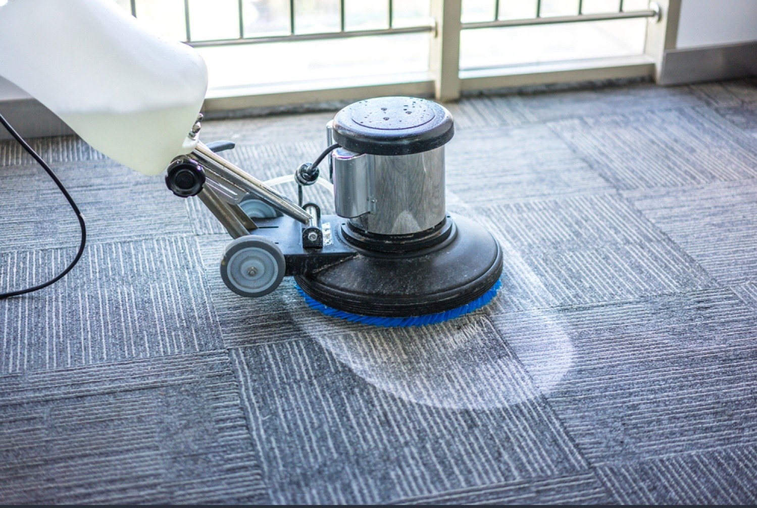 wmremove-transformed..